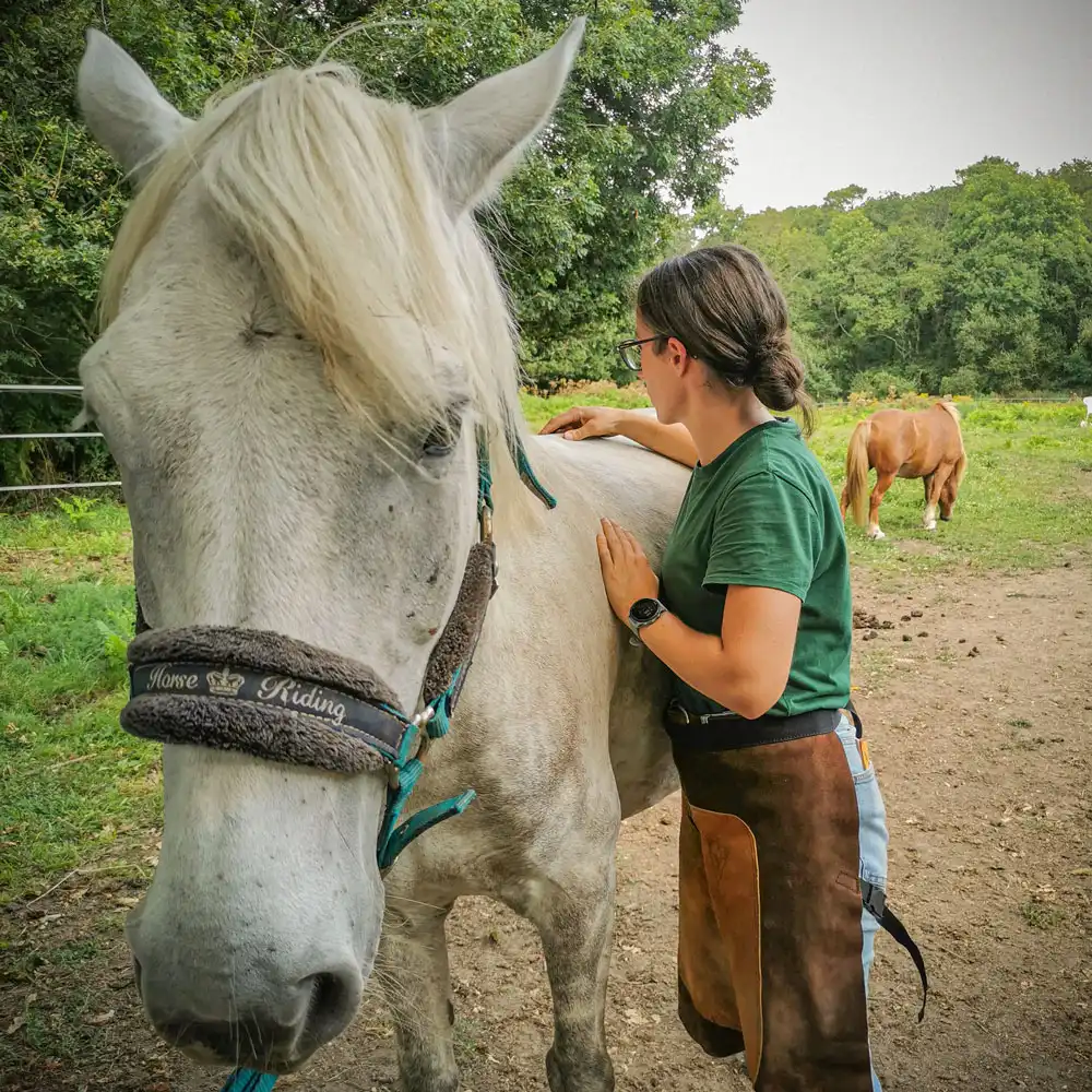 Alice Jeammes, ostéopathe animalier à Vannes, lors d'un consultation d'ostéopathie avec un cheval.