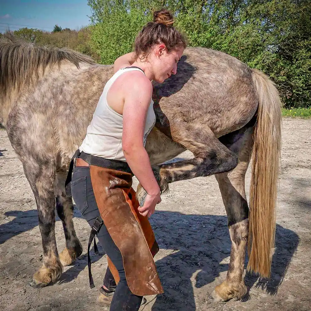 Alice Jeammes, ostéopathe animalier à Vannes, lors d'un consultation d'ostéopathie avec un cheval.